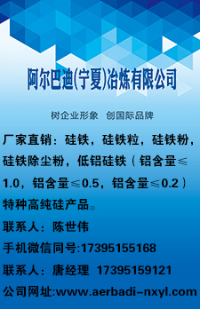阿爾巴迪（甯夏）冶煉有限公司